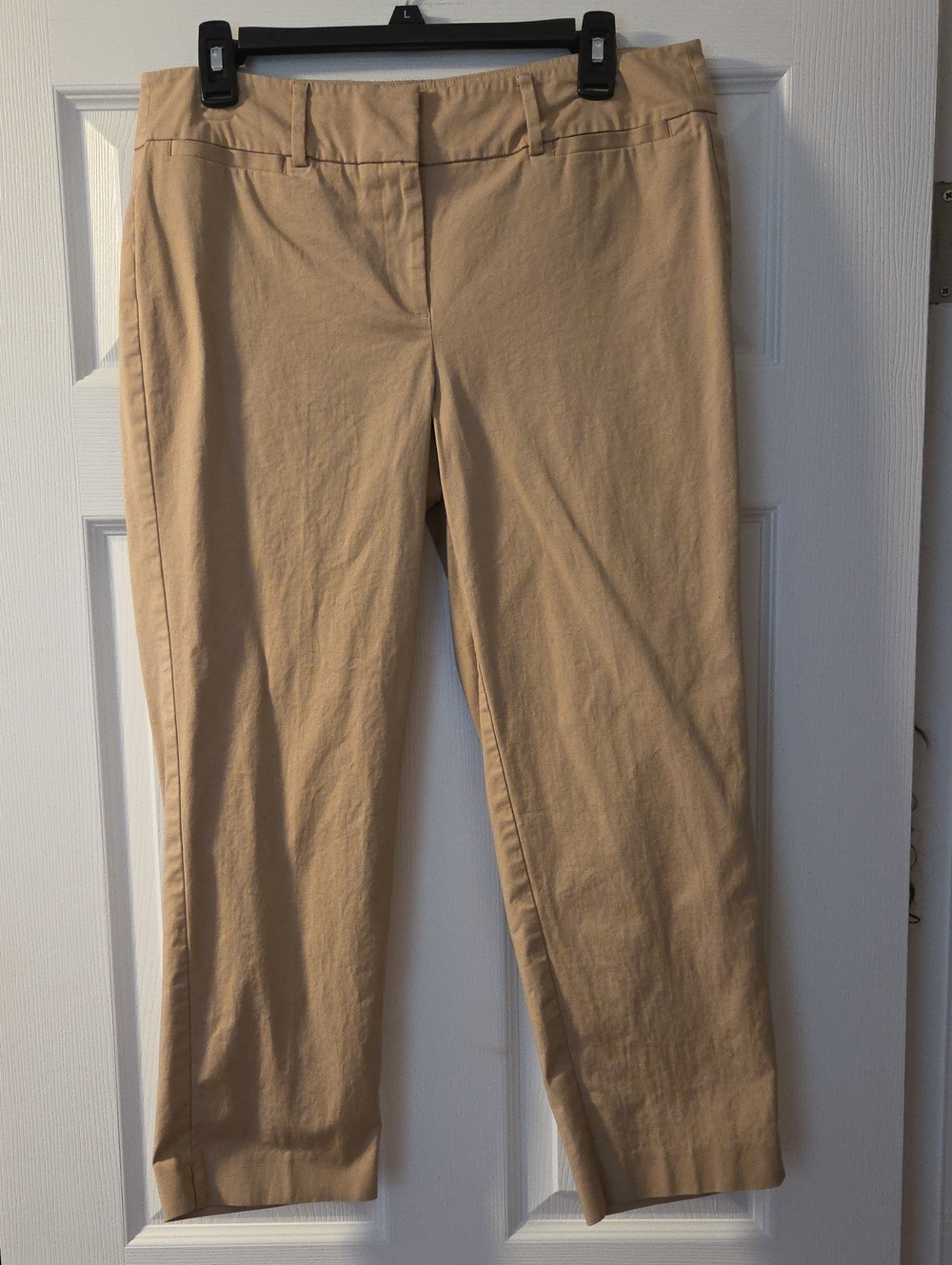 Ann Taylor-Sz 8 Tan Wonen's Pants